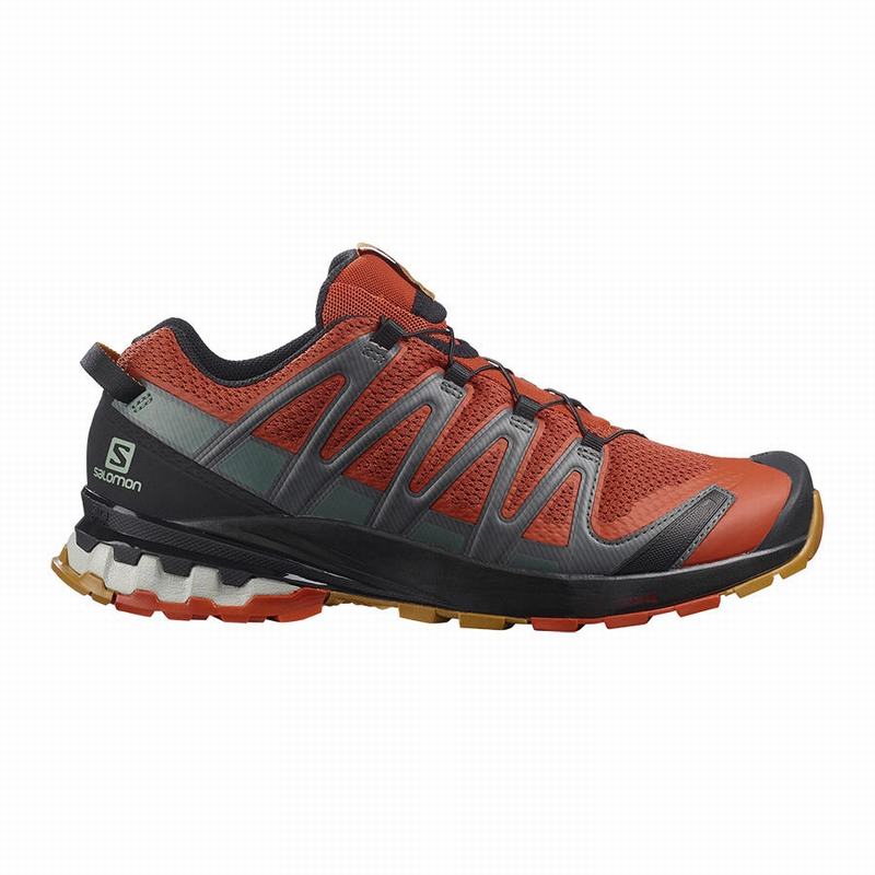 Salomon Israel XA PRO 3D V8 - Mens Trail Running Shoes - Black (GBRH-52840)